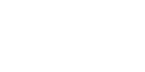 Manual